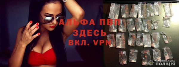 spice Приозерск