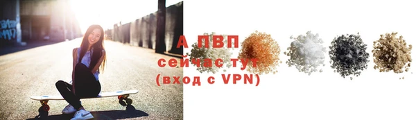 сатива Пролетарск